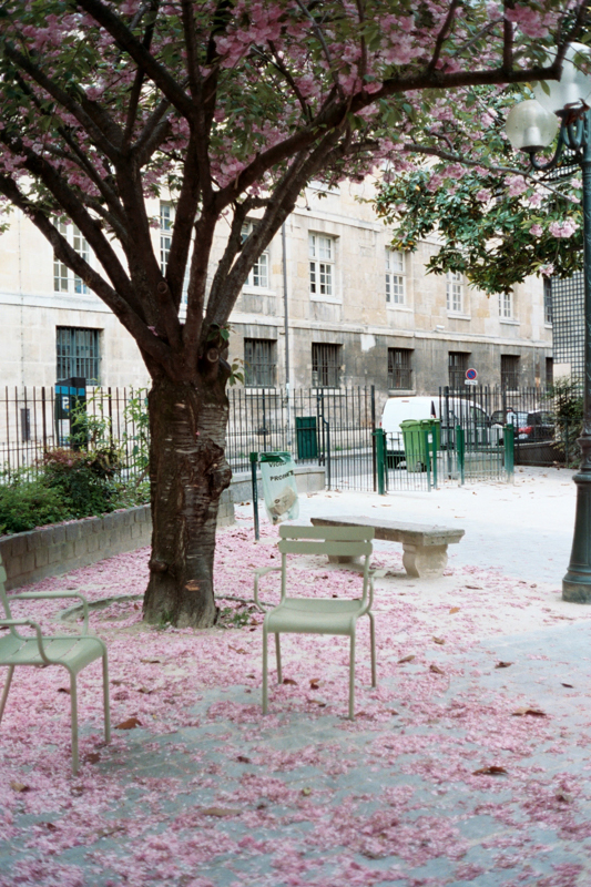 emma loughridge paris 2017